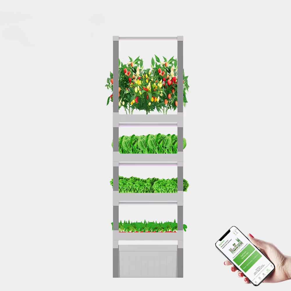 nt China Hydrokultur Grow Box  - Home Automation Systems Diy recensione e prezzo