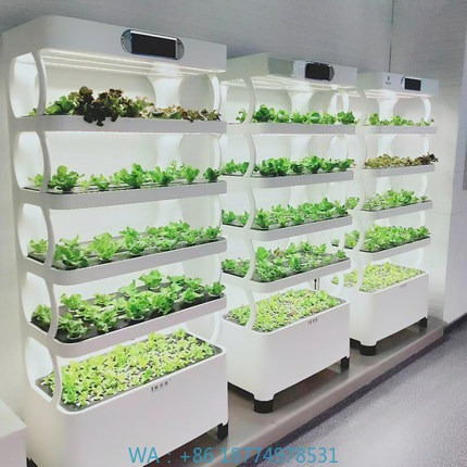 Iydroponic Automated Grow Syst - Home Automation Systems Diy recensione e prezzo