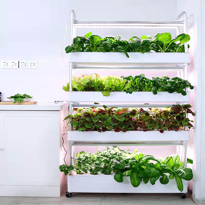 ydroponic Planting System Smar - Diy Automation recensione e prezzo