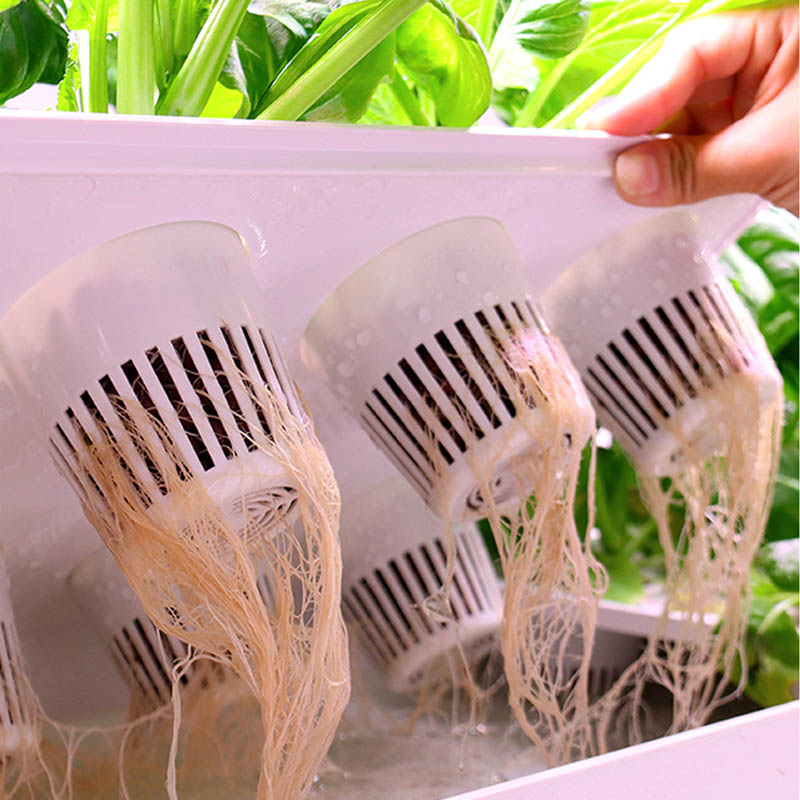 ydroponic Planting System Smar - Diy Automation recensione e prezzo