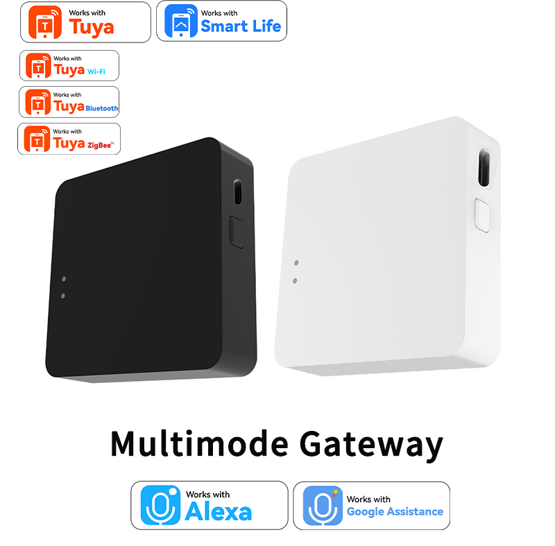 Work with Tuya Smart Zigbee+ B - Diy Home Automation Hub recensione e prezzo