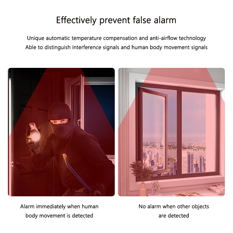 Indoor Anti-pet Anti-theft Ala - Motion Sensor Pir Wired recensione e prezzo