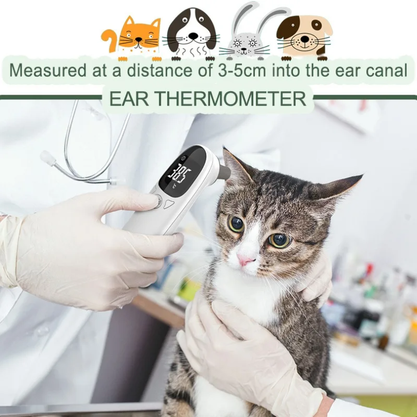 Infrared Pet Dog Cat Ear Therm - Home Automation Industry recensione e prezzo